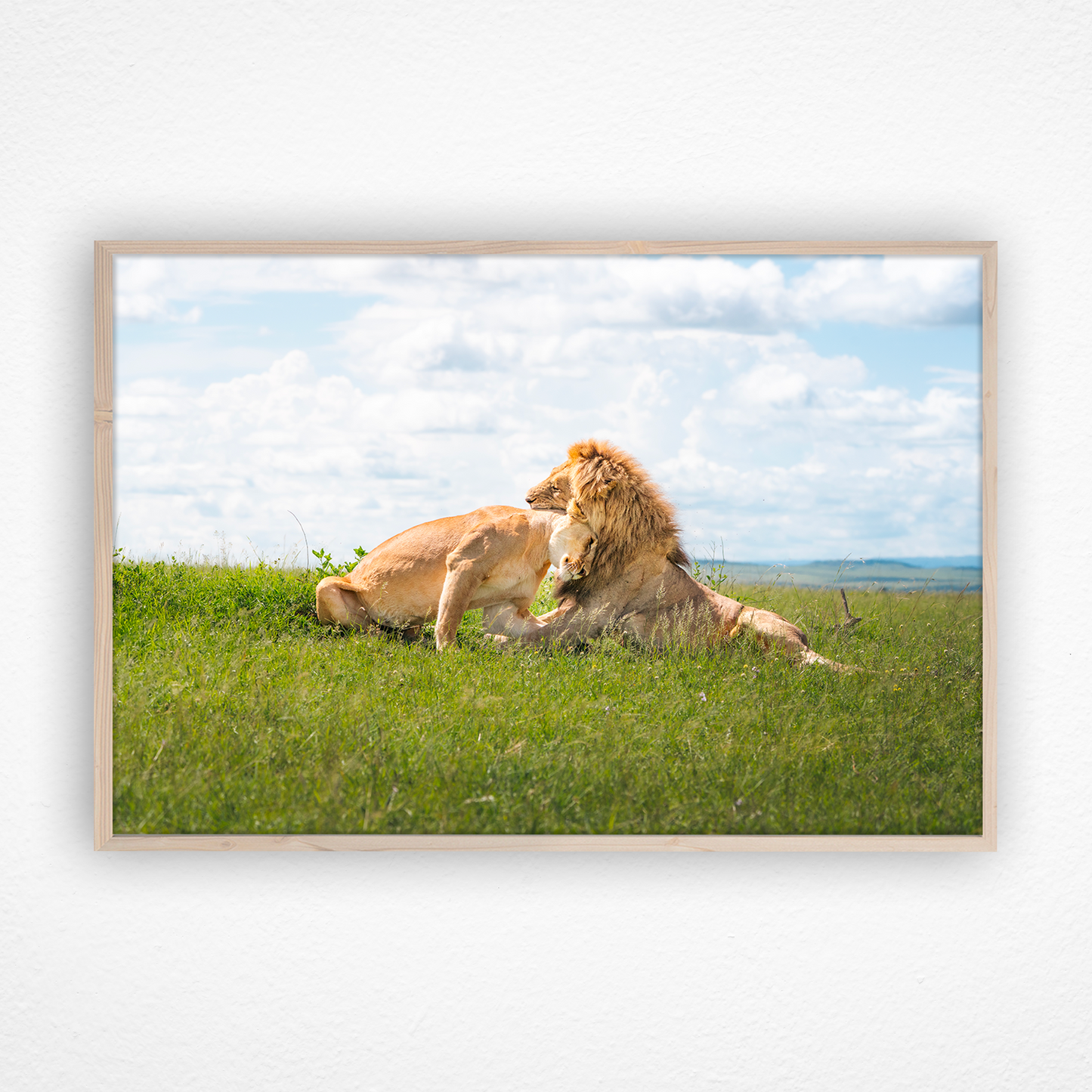 Lion et lionne qui se câlinent dans un cadre en chêne