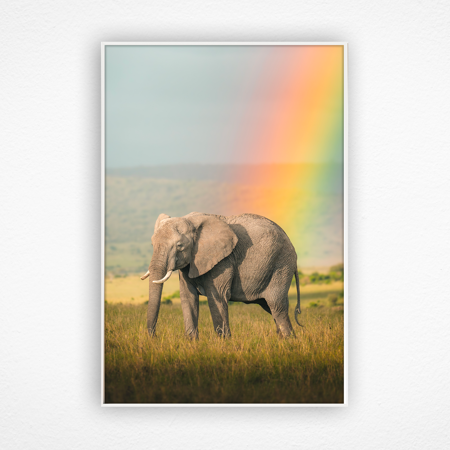 Éléphant debout devant un arc-en-ciel dans un cadre blanc