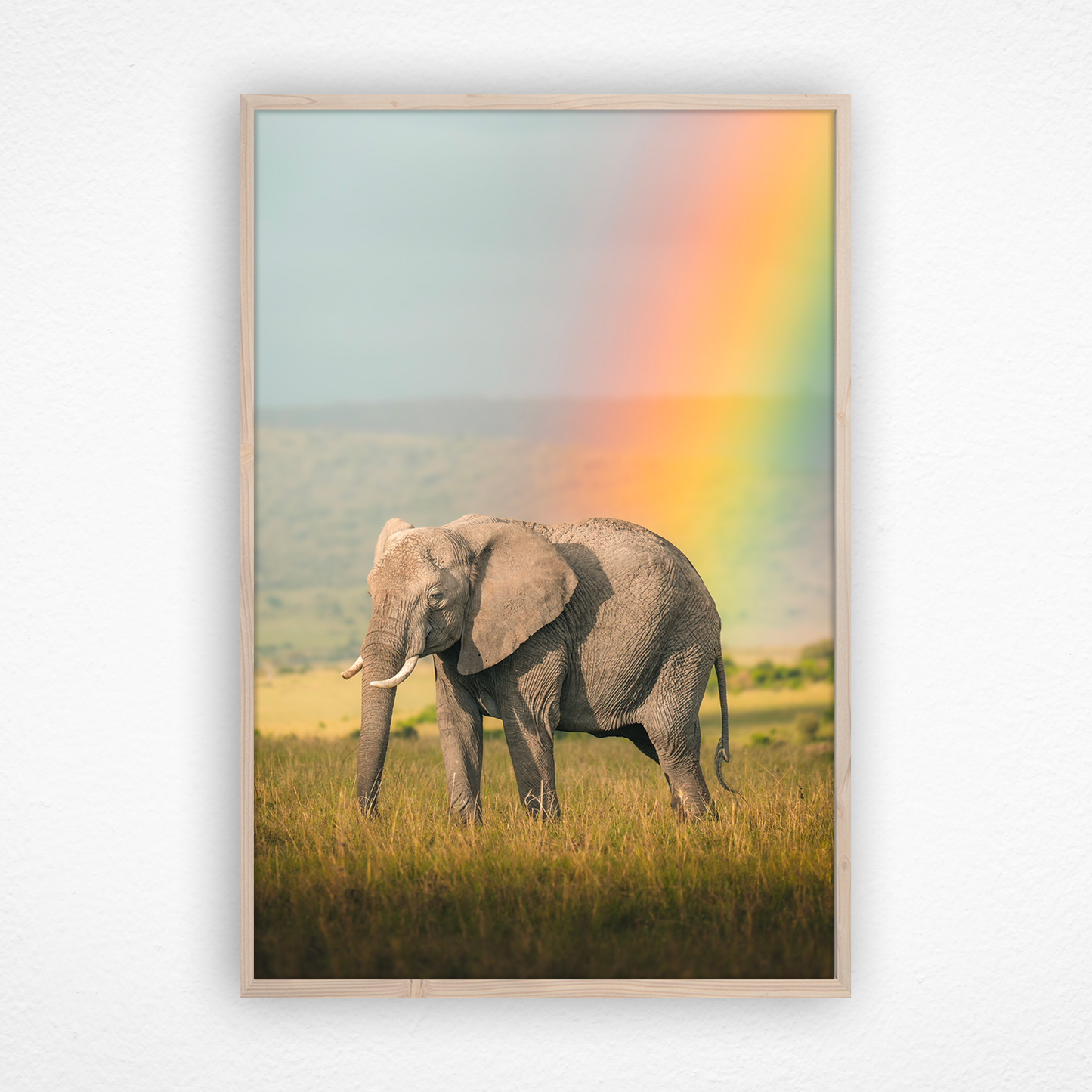 Éléphant debout devant un arc-en-ciel dans un cadre en chêne