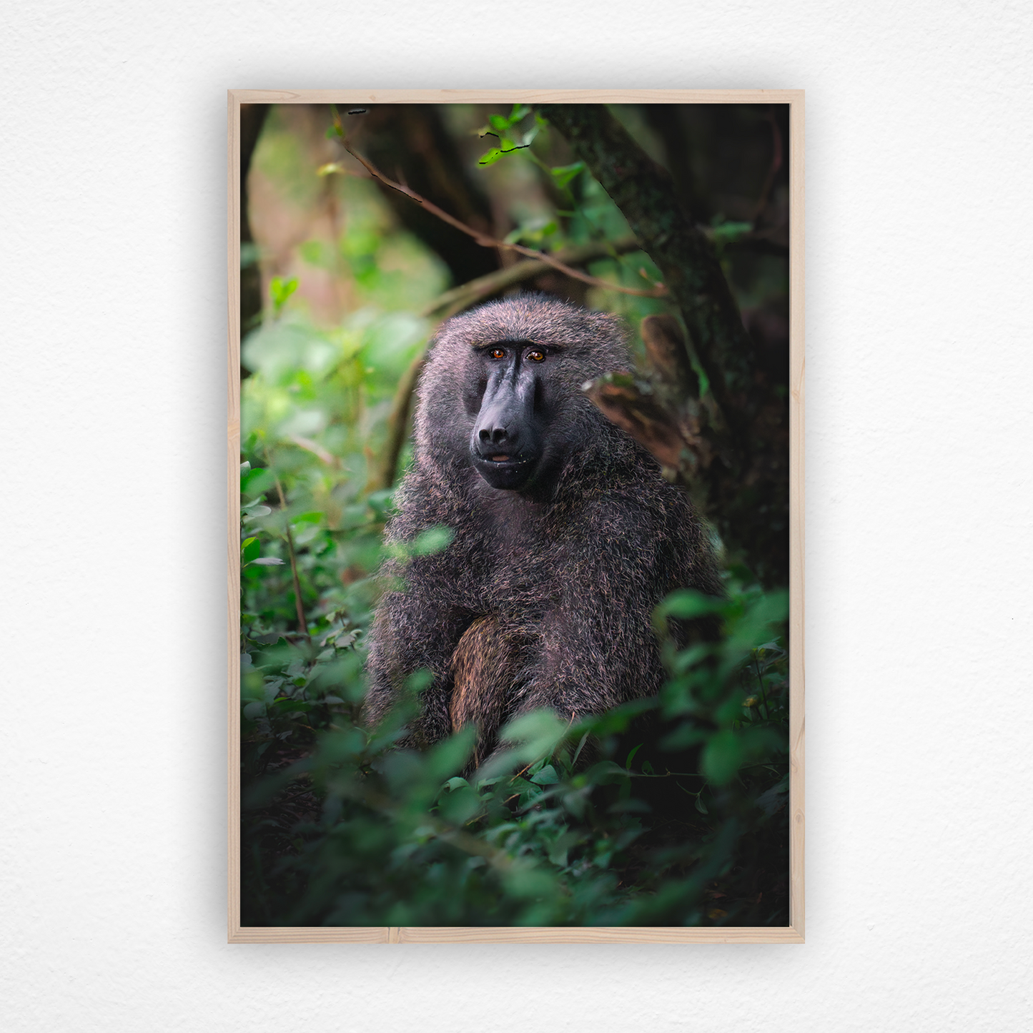 Babouin dans la forêt qui sourit dans un cadre en chêne