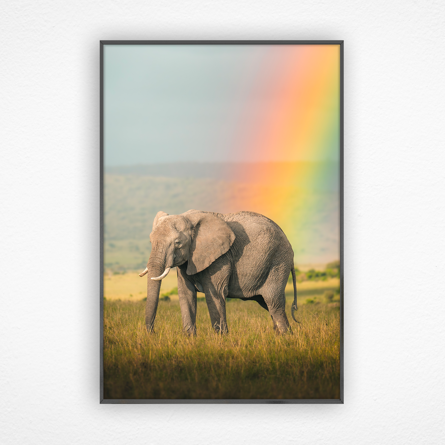 Éléphant debout devant un arc-en-ciel dans un cadre noir