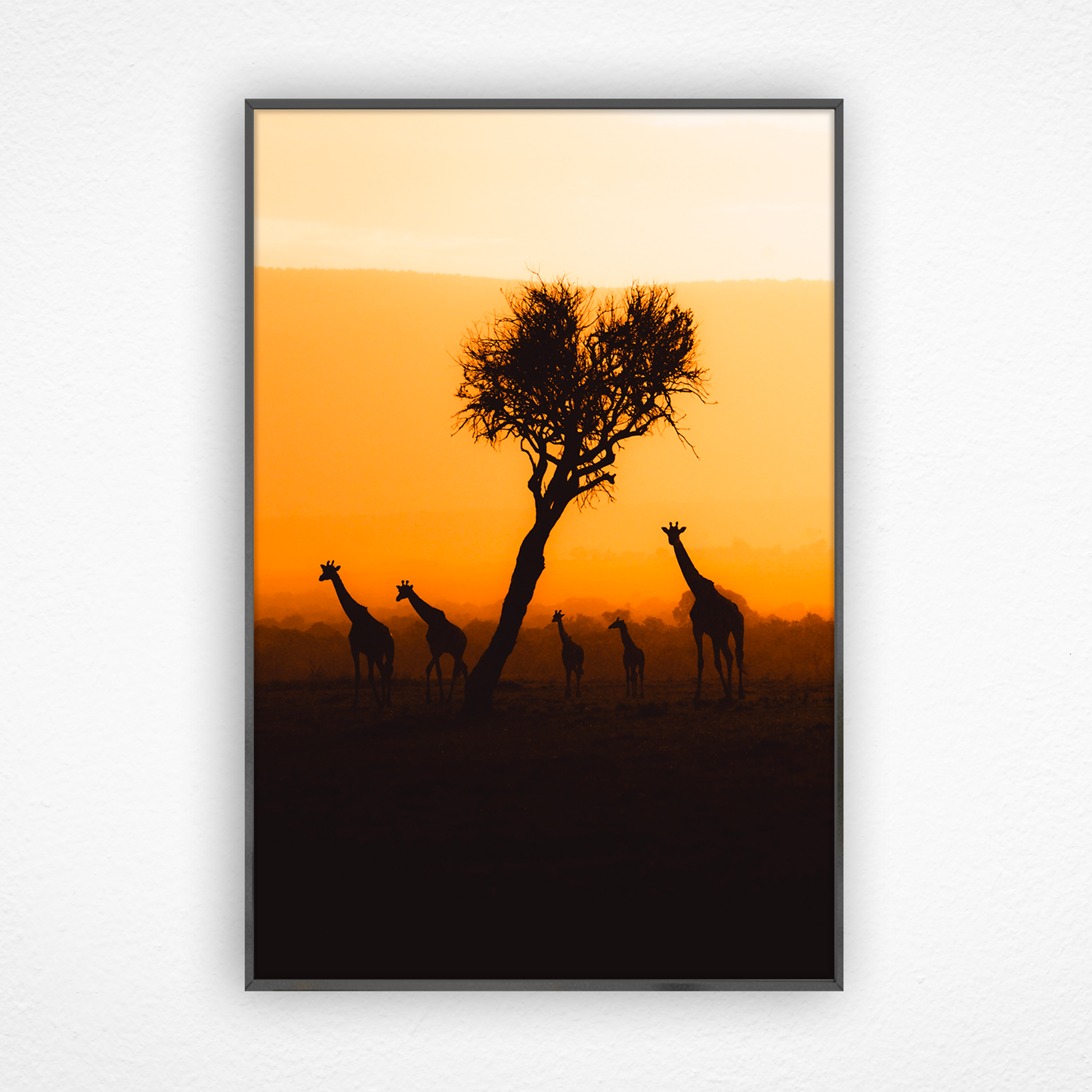 Silhouette de girafes au couché du soleil dans un cadre noir
